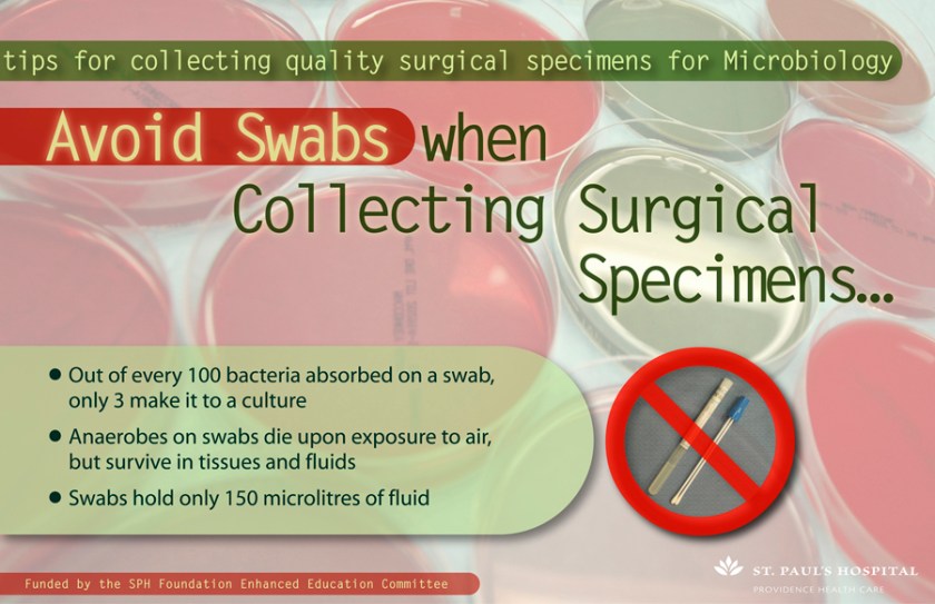 AvoidSwabs(lo-res) Avoid Swabs; 11"x17"; digital print